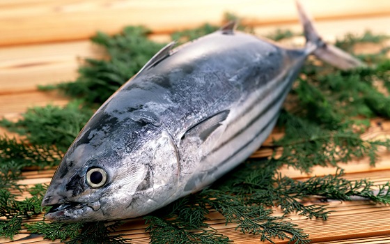 6 Tips Sederhana dan Cepat untuk Memilih Ikan Segar