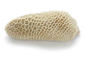 beef-tripe