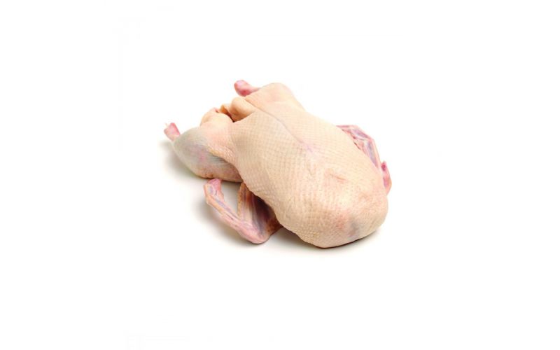 4 Cara Mengolah Daging Bebek agar Tidak Keras dan Berbau Amis