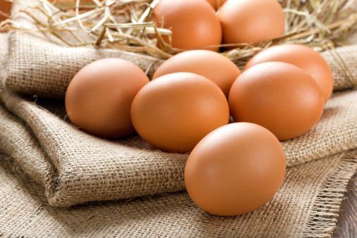 6 Jenis Telur yang Biasa Dikonsumsi di Indonesia