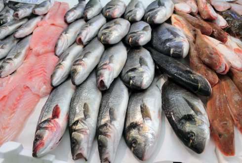 4 Cara Menyimpan Ikan Mentah dalam Freezer Agar Tak Bau