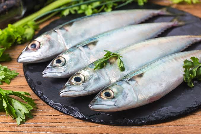 Manfaat Ikan Kembung Tak Kalah dari Ikan Salmon